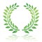 Laurel wreath