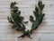 Laurel wreath. Branch of dried bay leaf. Use in medicine and in the food industry. Organic food