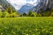 Lauterbrunnen, Switzerland, Panorama, nice house