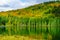 Lauzon lake in Mont Tremblant National Park