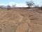 Lava Bed with Native Hawaiian Petroglyph Carvings