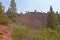 Lava Butte forest and surrounding area.