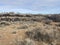 Lava field - El Malpais National Monument - New Mexico