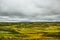 The lava field at Eldhraun, Iceland. Lava fields covered with green spongy moss. Unusual nature. Arctic Circle. Ring rode