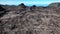 Lava field from Piton de la Fournaise filmed from the sky
