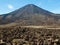 Lava field volcano Mount Ngauruhoe in New Zealand