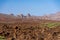 The lava fields of Las Canadas caldera of Teide volcano.