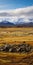 Lava Fields: A Stunning Pastoral Landscape Under A Mountain Range