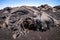 Lava flow detail on Pico do Fogo, Cape Verde