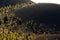 Lava flows and cinder cone