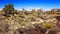 Lava Landscape at Valley of Fires Recreation Area in New Mexico