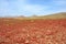 Lava landscape with volcanos and craters on spanish island lanzarote