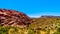 Lava-like Red Rocks in Red Rock Canyon National Conservation Area near Las Vegas, Nevada, USA