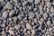 lava pebbles texture on a beach near the stromboli vulcano