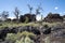 Lava rock and desert sagebrush along the Devils Orchard trail in Craters of the Moon National Monument