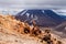 Lava sculptures and volcanoe Mount Ngauruhoe, NZ