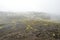 Lava terrain in Iceland.