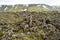 Lava terrain in Iceland.