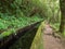 Lavadas irrigation channels on Sao Miguel, Azores Islands