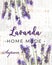 Lavanda herbal natural label for home made soap