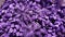 Lavanda Purple Abstracts Blurs Shapes Backgrounds