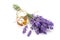 Lavander with aromatic oil