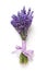 Lavander flowers bouquet on white background