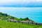 Lavaux, Switzerland - August 30, 2016: Train at Vineyard Terraces in Lavaux at Lake Geneva and Swiss Alps, Lavaux-Oron district,