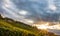 Lavaux, Switzerland - Vineyard Terraces Sunrise I