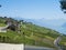 Lavaux vineyards (1)