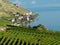 Lavaux vineyards (5)