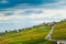 Lavaux vineyards in autumn