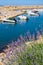 Lavender against boats and yachts in Port Argeles-sur-Mer