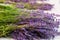 Lavender angustifolia, lavandula in herb garden harvest cuted