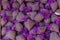 Lavender bags for decoration, ProvenÃ§al market of Nyons