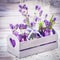 Lavender in bottles decor