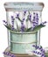 Lavender bouquet vintage vase Vector realistic