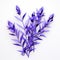 Lavender Branch On White Surface: 3d Rendered Illustration