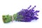 Lavender bunch tied with rope isolated