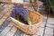 Lavender bunches selling in an outdoor french market