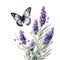 Lavender butterfly watercolor illustration, lavender clipart