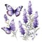 Lavender butterfly watercolor illustration, lavender clipart