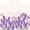 Lavender Card with flowers in watercolor paint