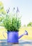 Lavender in decorative watering can on table