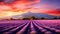 Lavender Dreams at Dusk: Grenoble, France\\\'s Sunset Canvas