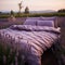 Lavender Dreams: A Tranquil Retreat with a Kingsize Comfort Oasis