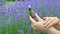 lavender essential oil in beautiful bottle on