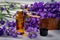 Lavender essential oil bottle with fresh flowers