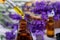 Lavender essential oil drop from pipette over the bottle