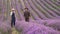 Lavender Farm Business and Industry. A family of farmers on a blooming field. Lavender farming